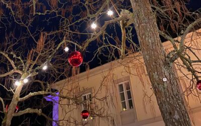 Schloß Heiligenberg Weihnachtsmarkt